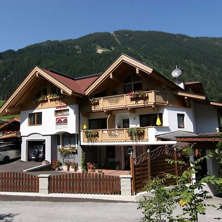 Appartements Enzian Finkenberg Exteriér fotografie
